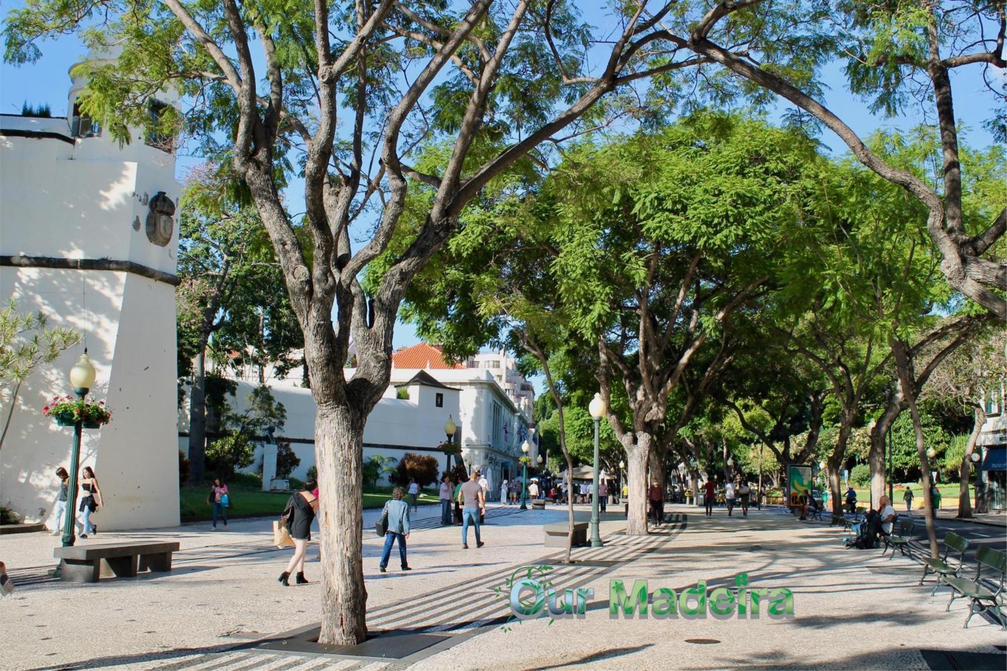 Ourmadeira - Heart Of Old Town II Διαμέρισμα Φουνκάλ Εξωτερικό φωτογραφία